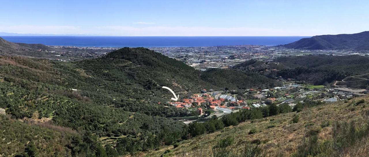Gli Angeli Agriturismo Villa Cisano sul Neva Eksteriør billede