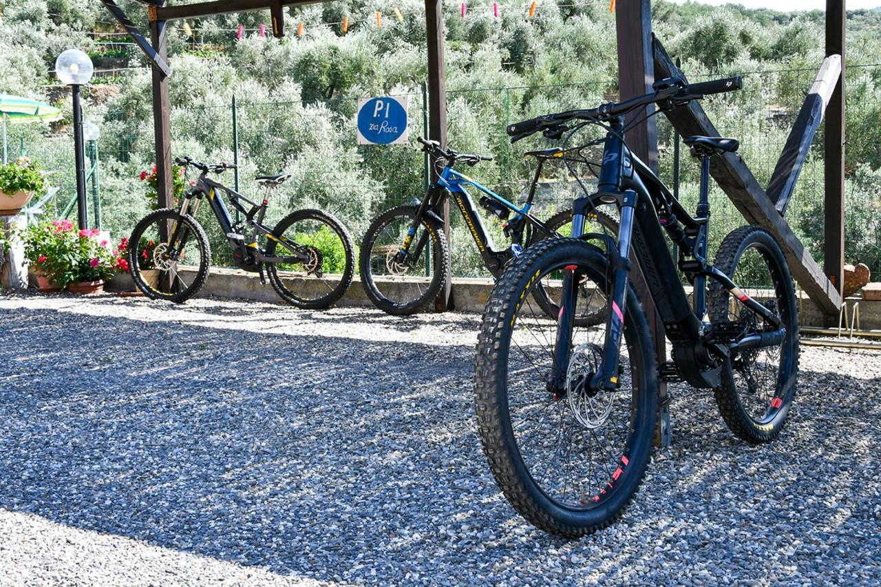 Gli Angeli Agriturismo Villa Cisano sul Neva Eksteriør billede